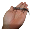 Cobra Articulada 12cm - Imagem 4