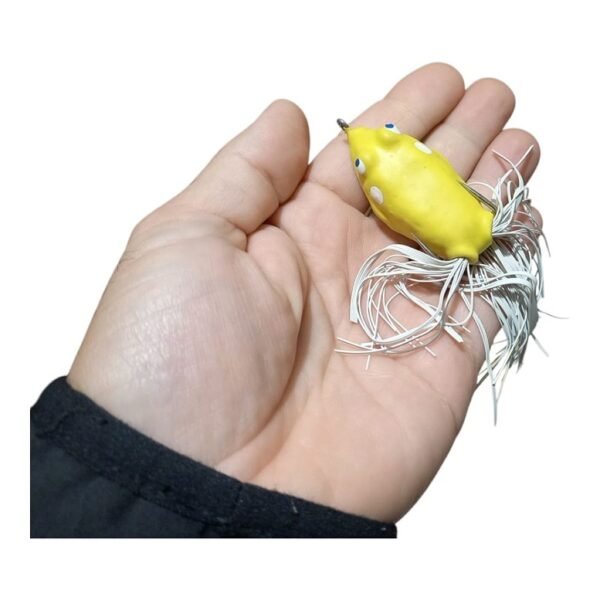 Sapito – Grob Pesca - Image 3